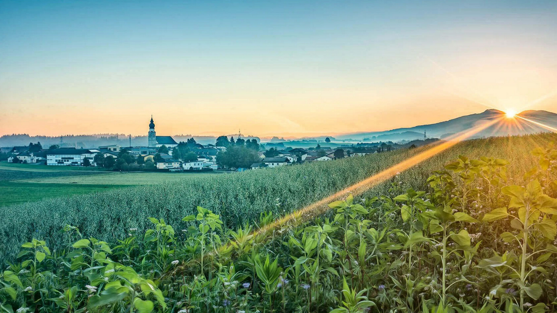 Energiekonzept Gewerbegebiet